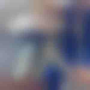 Telescopische plumeau | ARTICLEAN