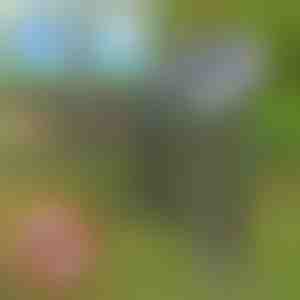 Zonwerend ongediertebestrijdingsmiddel | SOLGUARD