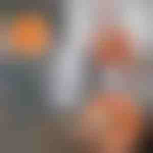 360 roterende, verstelbare, zonnebloem schoonmaakmop| CORALMOP