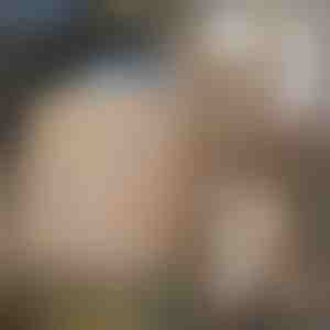 3D wandtegels met steeneffect - peel & stick | STONEBLOCKS