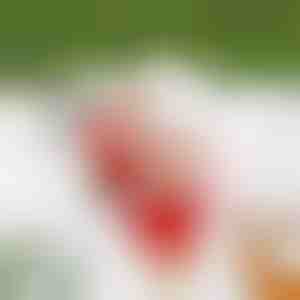 Ladderbeklimmende Santa SANTACLIMB