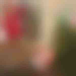 Kerstman met parachute | SANTASWING