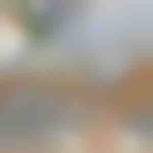 Multifunctionele groentesnijder | SLICEIEST (4 Messen GRATIS)