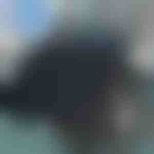 360° Draaibaar autostoelkussen | SPINPAD