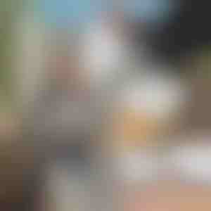 Speciaal kettingzaag-slijpgereedschap + molen GRINNEX