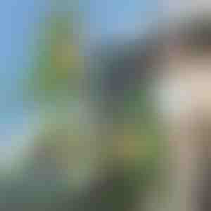 3D rugzak in de vorm van een dinosaurus | DINOBACK