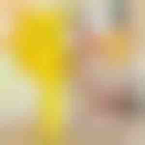 Apparaat voor het maken van gaten voor deuvels | DOWELKIT