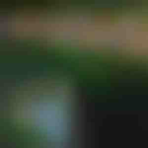 Vlinderlampen voor buiten op zonne-energie | FLUTIX