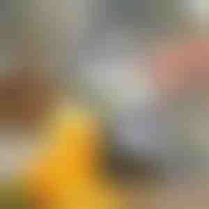 Handmatige vruchtensapcentrifuge | JUVOPRESS