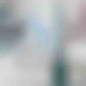 Toiletborstel met ingebouwd reinigingsmiddelendispenser | FLUSHBRUSH