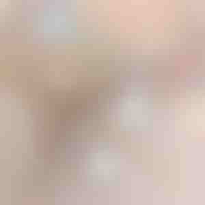 2-in-1 draadloze stofzuiger | VACUSTICK