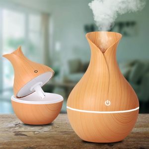 Wooden humidifier | HUMISTER