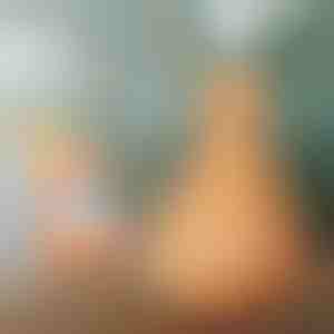 Wooden humidifier | HUMISTER