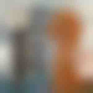 Huisdier trimset | GULAMACHINE