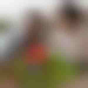 Magnetische knutselblokjes (48 stuks) | MAGCRAFTI