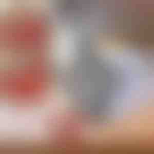 Automatische vleesmolen | MESOMIX