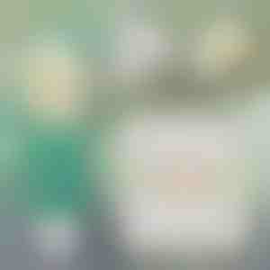 Oplossing voor directe muurreparatie | WALLFIX