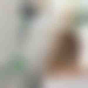 Verstelbare föhnhandgreep | FENLUSK