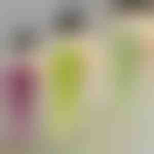 Decoratieve hangerplant | IVYORA