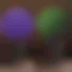 Decoratieve plantenbol | TOPIORB