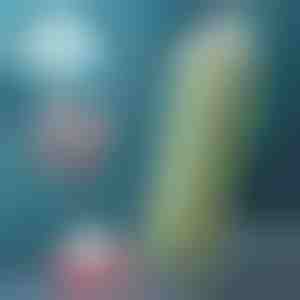 Opvouwbare fles | FOLDSIP