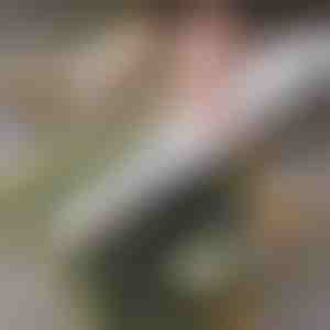 Eenvoudige thuis sushi roller | SUSHROLIO