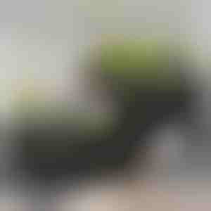 Kweektuindoos | BOTANITKO