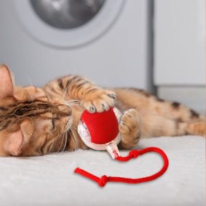 Huisdierspeeltje dat beweegt bij aanraking | GATOPLAY