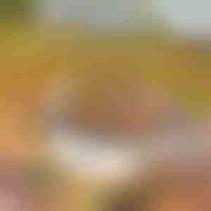 Draagbare grill | GRILLSTER