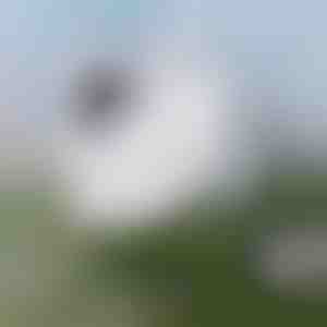 Moeiteloos ramen schoonmaken | WINDOWSWIPE