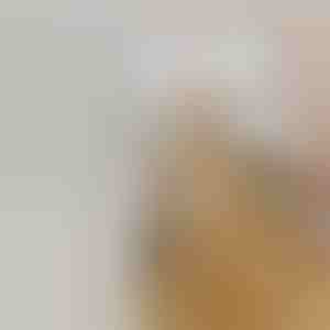 Oplaadbare stoomborstel voor verharende huisdieren | GROOMSY