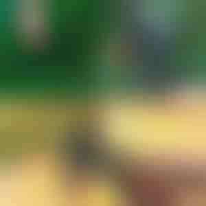 Professionele 2-in-1 Snoei- en Entschaar | MASTERCUT