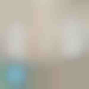 Lakenshouders die nooit wegglijden (4 stuks) | EVOHOLD