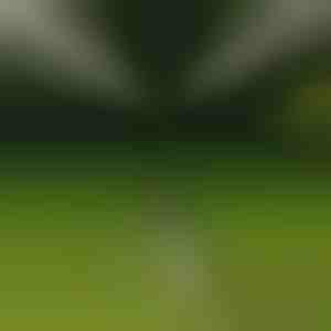 Roterende driepootsproeier | HYDRASPRINK