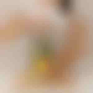 Ananassnijder die moeiteloos werkt | PINECUT