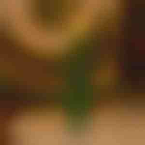 Vlamloze flikkerende feestkaars | CANDLETREE