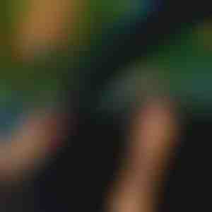 Wind, stof, regen en weggeruis buiten afgesloten - elke auto | EVOSEAL