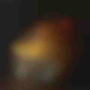 Hydratatie drinkfontein voor huisdieren | PETSPRINGLE