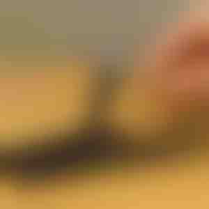 10-delige boutenverwijderingsset | SCREWX