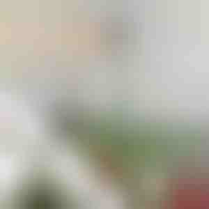 Verstelbare stabilisatiestang voor boomtop | STABLESTAR