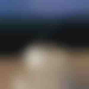 Kalmerende aromadiffuser | MEDUSAMIST