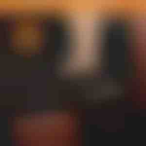 Waterdichte hondenhoes voor de achterbank van de auto | CARIPET