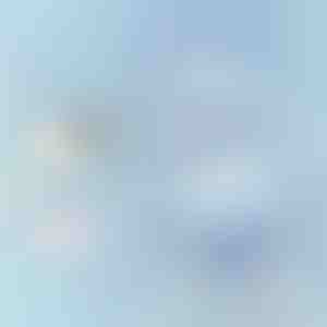 Ergonomisch babykussen | NAPPILLO