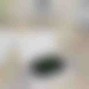 Draadloze oplader voor Apple Watch | WATCHBANK