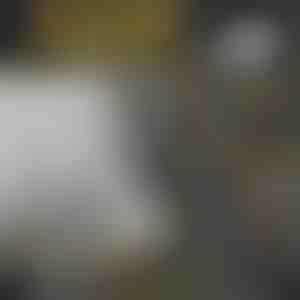 Vetspuit naaldpunt (5 stuks) | GREASRA