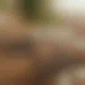 Magnetische zelfklevende kabelorganizer (12 stuks) | CABLIP