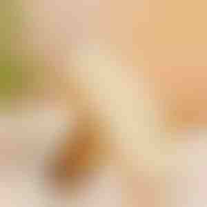 Rubberen Suède & Nubuck Borstel - Statische Lift, Geen Krassen | RUBSHOE