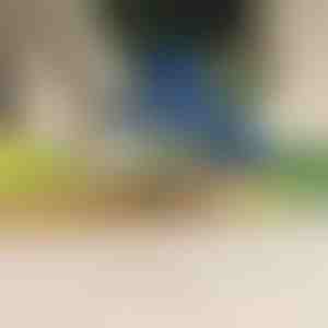 Elektrische fruit- en groenteschiller | PEELMATIC