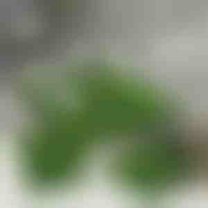 Kunstgras tegels voor decoratie (5 stuks) | GRASSTILE