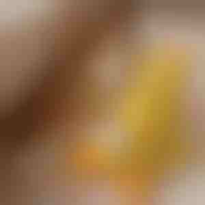 Kalmerende pluchen hondenspeelgoed met kwakend geluid - vermindert verlatingsangst | CALMQUA